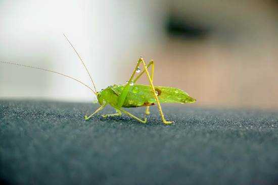 /Users/yidao/Library/Containers/com.kingsoft.wpsoffice.mac/Data/tmp/picturecompress_20251114124032/output_6.jpgoutput_6